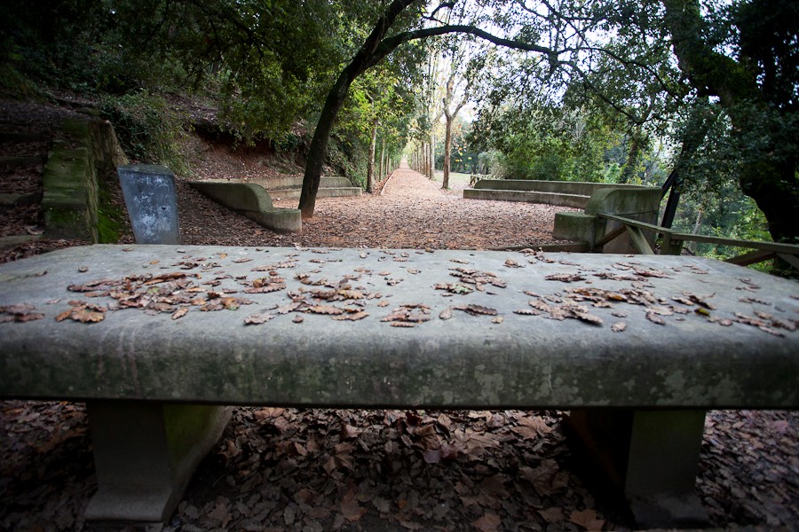 Aportació d’àrid Sauló Parc a un itinerari dins el parc de Collserola de&nbsp;Barcelona
