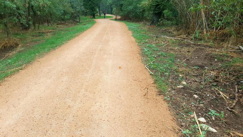 SAULO PARC nova via verda Sarrià-Girona 01