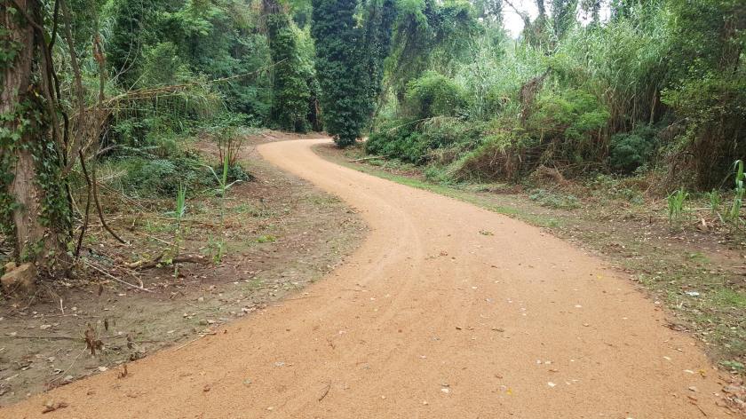 SAULO PARC nova via verda Sarrià-Girona 04